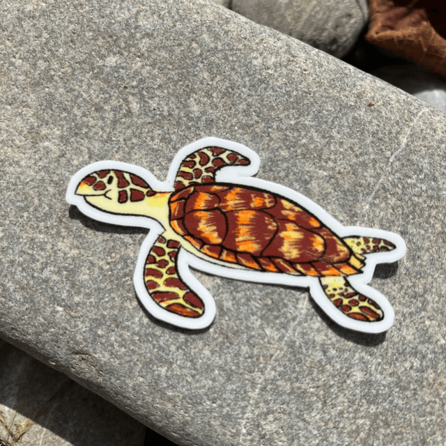 Turtle Sticker