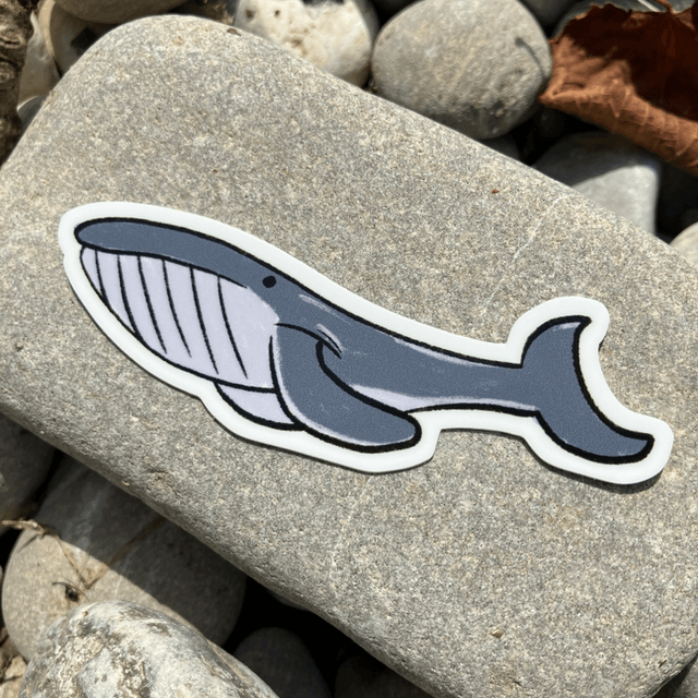 Whale Sticker